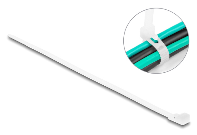 DELOCK reusable δεματικά καλωδίων 18642, 200x4.8mm, λευκά, 100τμχ