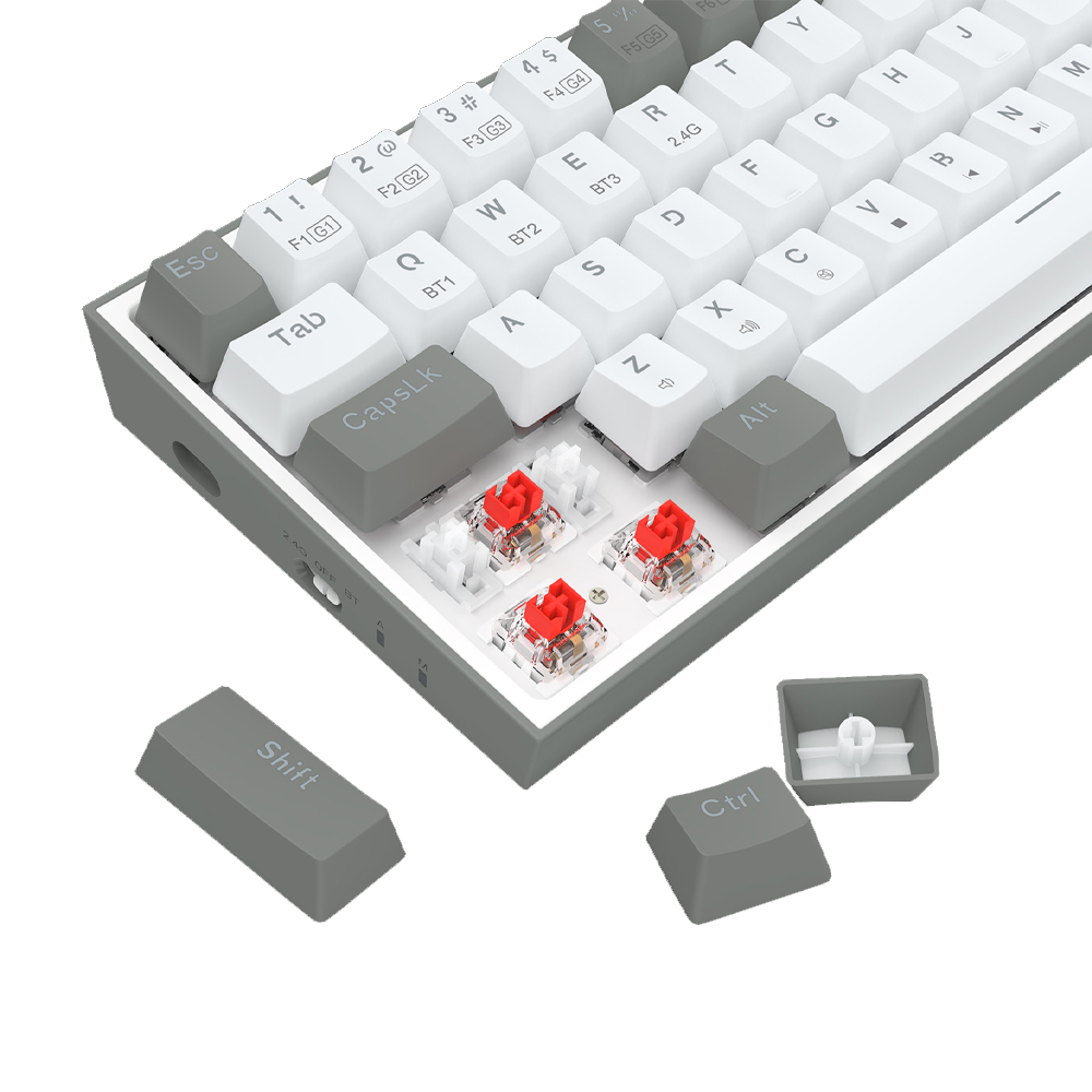 Castor-Pro-K631RGB-PRO-WG